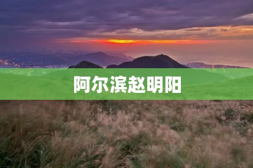 阿尔滨赵明阳:从足球少年到职业教练 阿尔滨赵明阳:从足球少年到职业教练