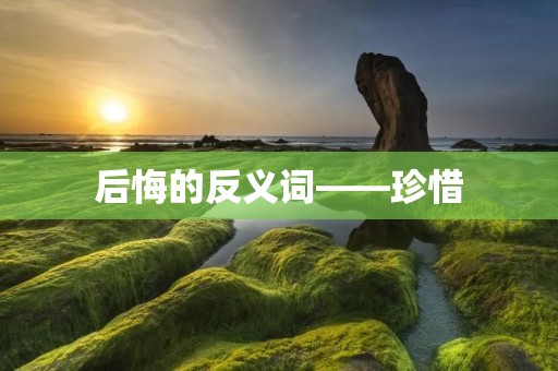 后悔的反义词——珍惜