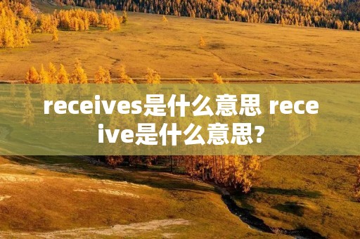 receives是什么意思 receive是什么意思?