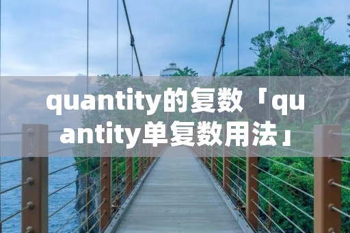 quantity的复数「quantity单复数用法」