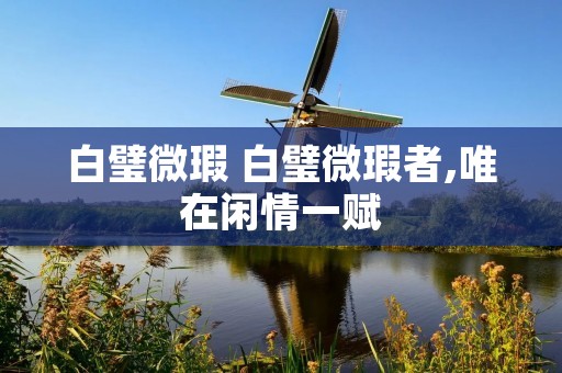 白璧微瑕 白璧微瑕者,唯在闲情一赋