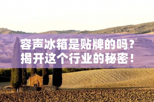 容声冰箱是贴牌的吗？揭开这个行业的秘密！