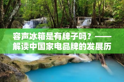 容声冰箱是有牌子吗?——解读中国家电品牌的发展历程 容声冰箱是有牌子吗?——解读中国家电品牌的发展历程
