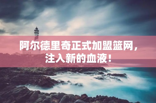 阿尔德里奇正式加盟篮网，注入新的血液！