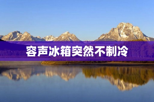 容声冰箱突然不制冷:如何快速解决? 容声冰箱突然不制冷:如何快速解决?