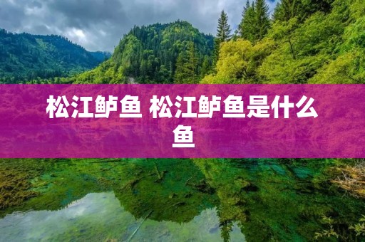 松江鲈鱼 松江鲈鱼是什么鱼