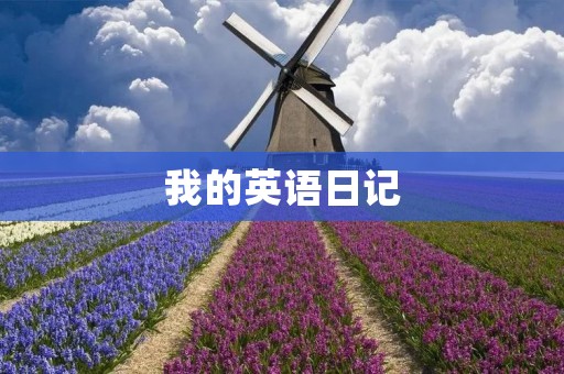 我的英语日记