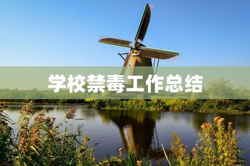 学校禁毒工作总结