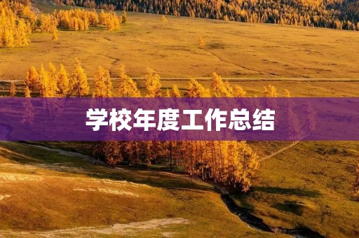 学校年度工作总结：回顾过去，展望未来