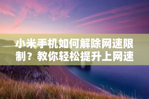 小米手机如何解除网速限制?教你轻松提升上网速度!