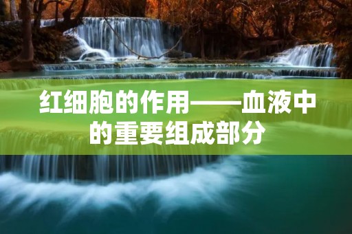 红细胞的作用——血液中的重要组成部分 红细胞的作用——血液中的重要组成部分
