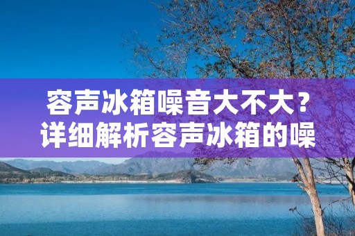 容声冰箱噪音大不大?详细解析容声冰箱的噪音问题 容声冰箱噪音大不大?详细解析容声冰箱的噪音问题