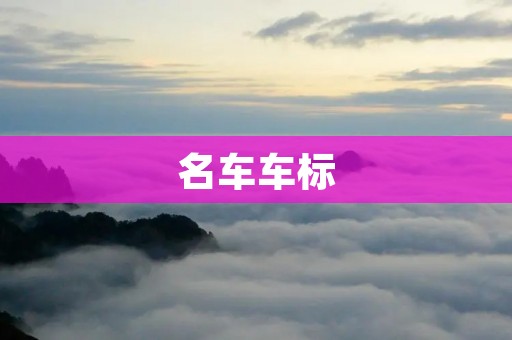 名车车标：用标志性设计诠释品牌形象