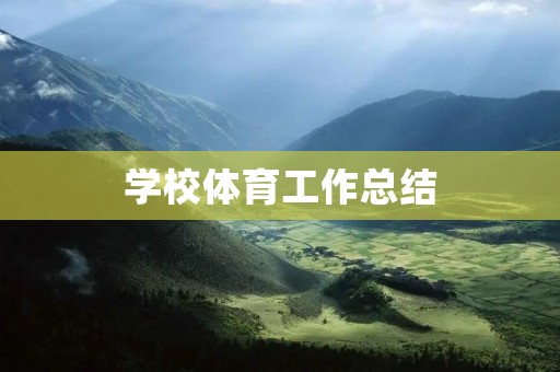 学校体育工作总结