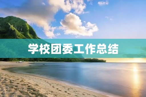 学校团委工作总结