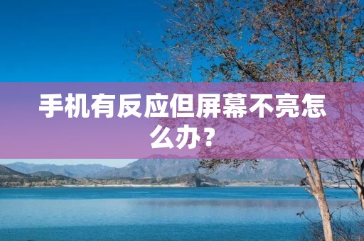 手机有反应但屏幕不亮怎么办?