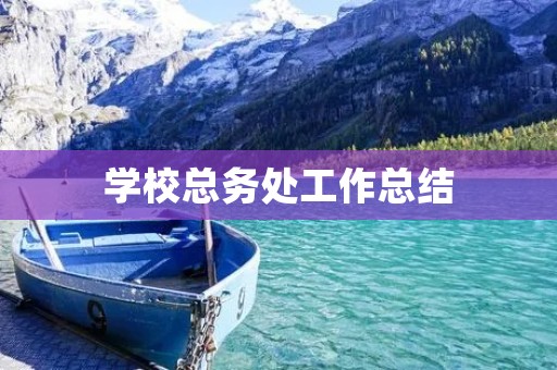 学校总务处工作总结