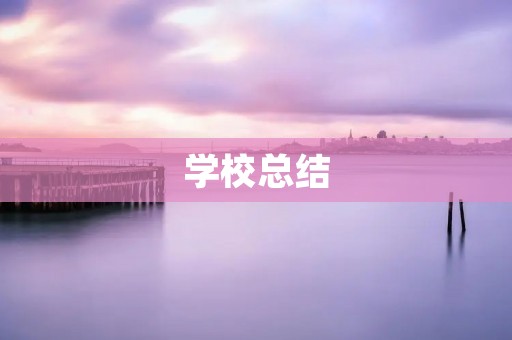 学校总结:探究学校发展的关键因素