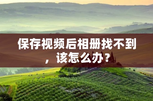 保存视频后相册找不到,该怎么办?