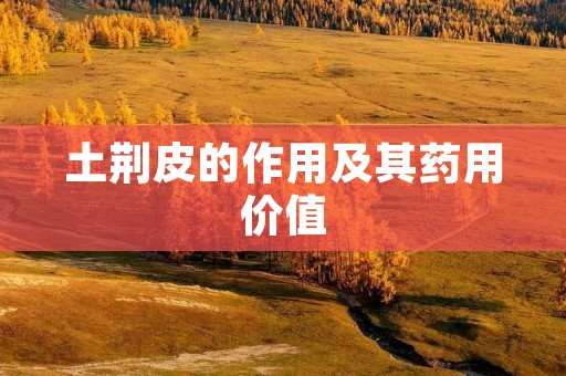 土荆皮的作用及其药用价值