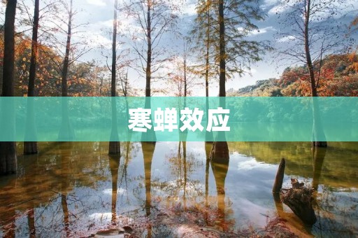 寒蝉效应：为什么有时候沉默是金？