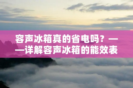 容声冰箱真的省电吗?——详解容声冰箱的能效表现 容声冰箱真的省电吗?——详解容声冰箱的能效表现