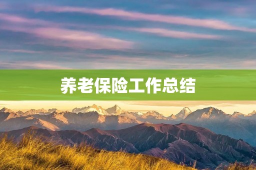 养老保险工作总结