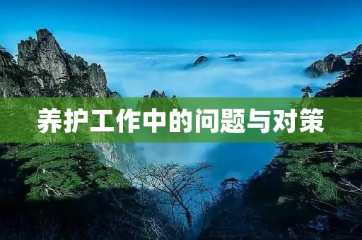 养护工作中的问题与对策