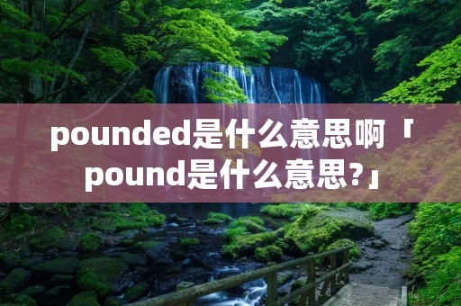 pounded是什么意思啊「pound是什么意思?」