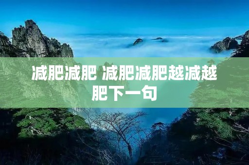 减肥减肥 减肥减肥越减越肥下一句