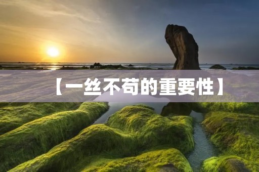 【一丝不苟的重要性】