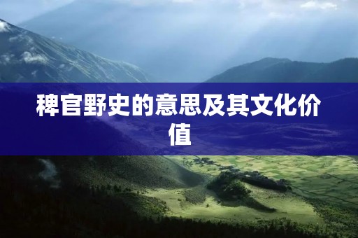 稗官野史的意思及其文化价值