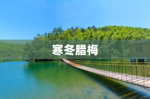 寒冬腊梅:一场冬日的花香盛宴 寒冬腊梅:一场冬日的花香盛宴