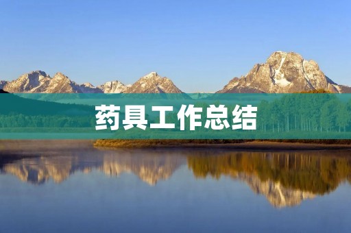 药具工作总结:提高服务质量,满足客户需求