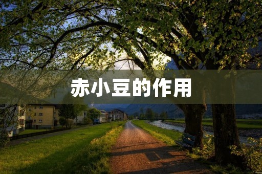 赤小豆的作用：探究这种豆子的健康功效