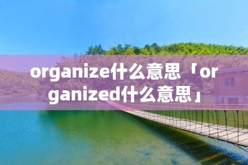 organize什么意思「organized什么意思」