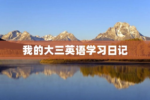 我的大三英语学习日记 我的大三英语学习日记