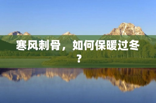 寒风刺骨，如何保暖过冬？