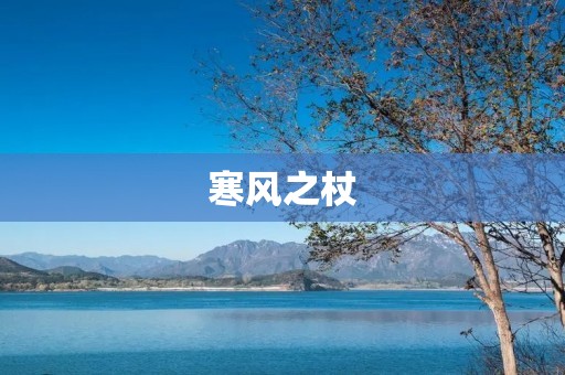 寒风之杖:一把神奇的法杖 寒风之杖:一把神奇的法杖