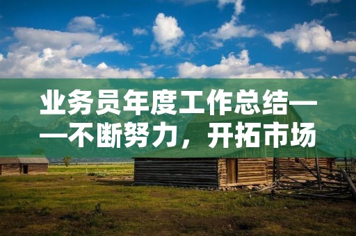 业务员年度工作总结——不断努力,开拓市场
