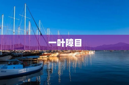 一叶障目：如何避免被自己的想法所限制