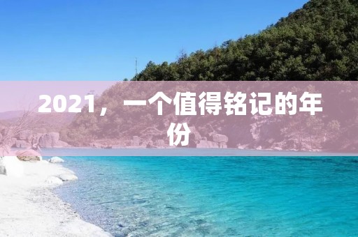 2021,一个值得铭记的年份