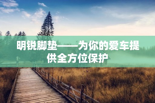 明锐脚垫——为你的爱车提供全方位保护 明锐脚垫——为你的爱车提供全方位保护