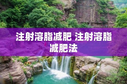 注射溶脂减肥 注射溶脂减肥法