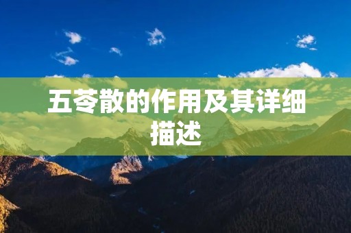 五苓散的作用及其详细描述