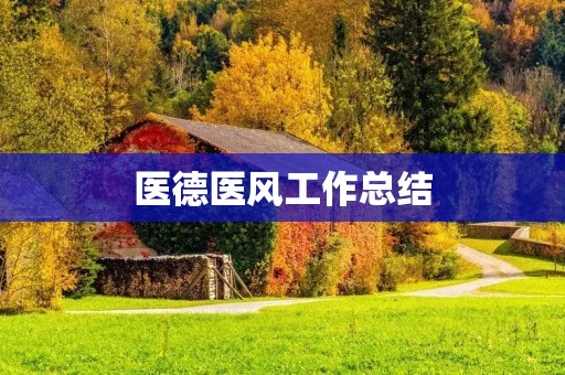 医德医风工作总结