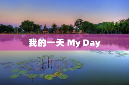 我的一天 My Day