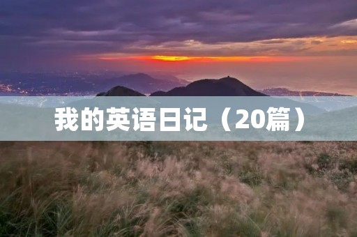 我的英语日记（20篇）