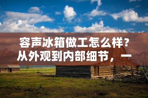 容声冰箱做工怎么样?从外观到内部细节,一一揭秘! 容声冰箱做工怎么样?从外观到内部细节,一一揭秘!