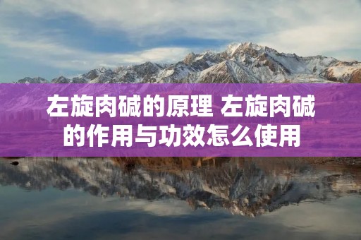 左旋肉碱的原理 左旋肉碱的作用与功效怎么使用